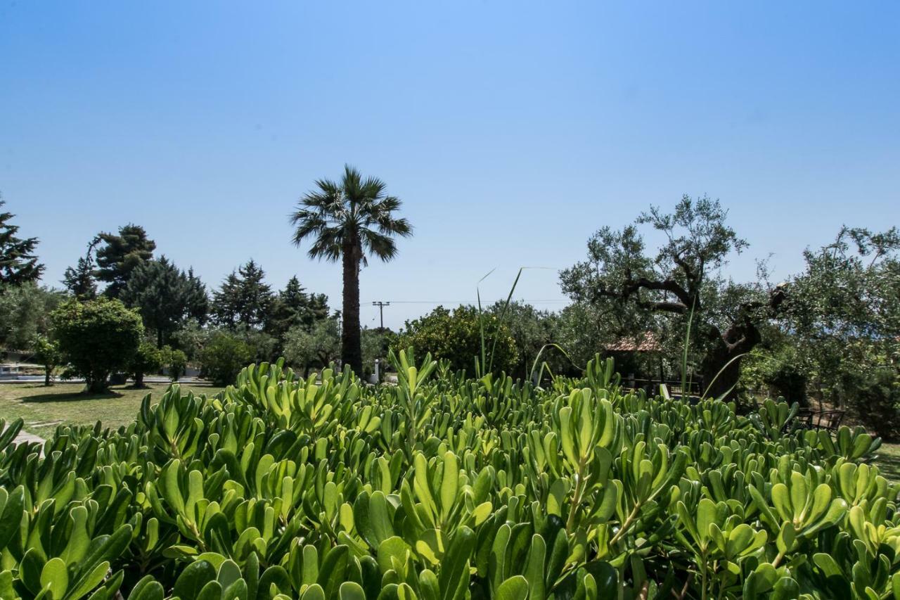 Katerina'S Garden Mola Kaliva Βίλα Εξωτερικό φωτογραφία